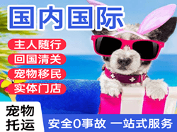 宁波航空货运国际宠物托运 【国